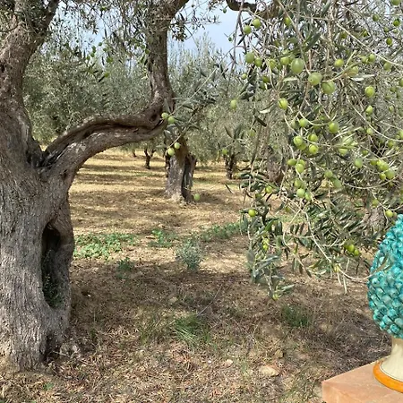 Tenuta Bartoli Maison De Charme 农家乐 Mazzarino