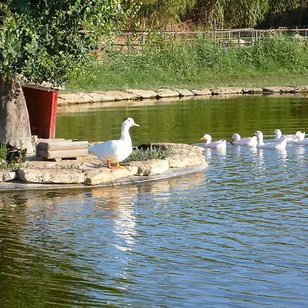 Tenuta Bartoli Maison De Charme Farm stay Mazzarino